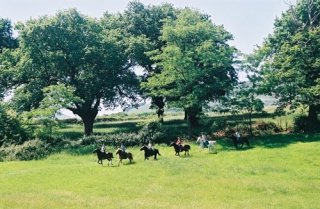  Galope al aire libre 64